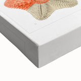 Modern Wall Art: Asteridea Design in Vibrant Coral Tones