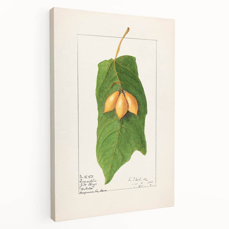 Large canvas print featuring an assortment of vibrant fruits, ideal for kitchen wall art.