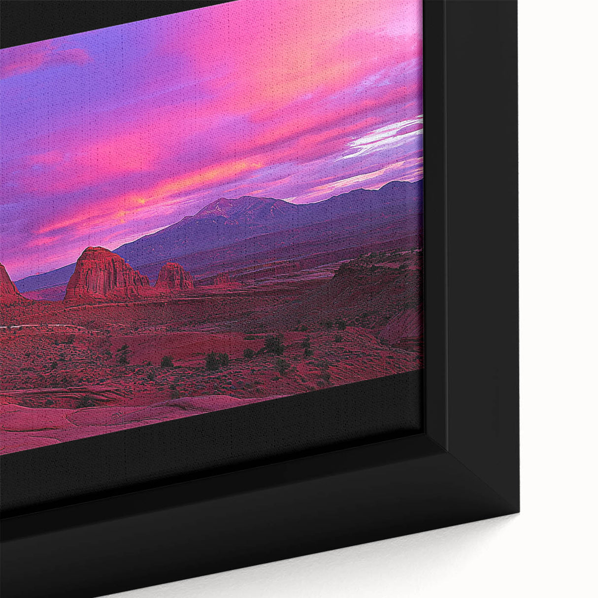 Close-up of a desert landscape framed canvas print showcasing vibrant colors and intricate details, perfect for enhancing home decor with a natural theme.