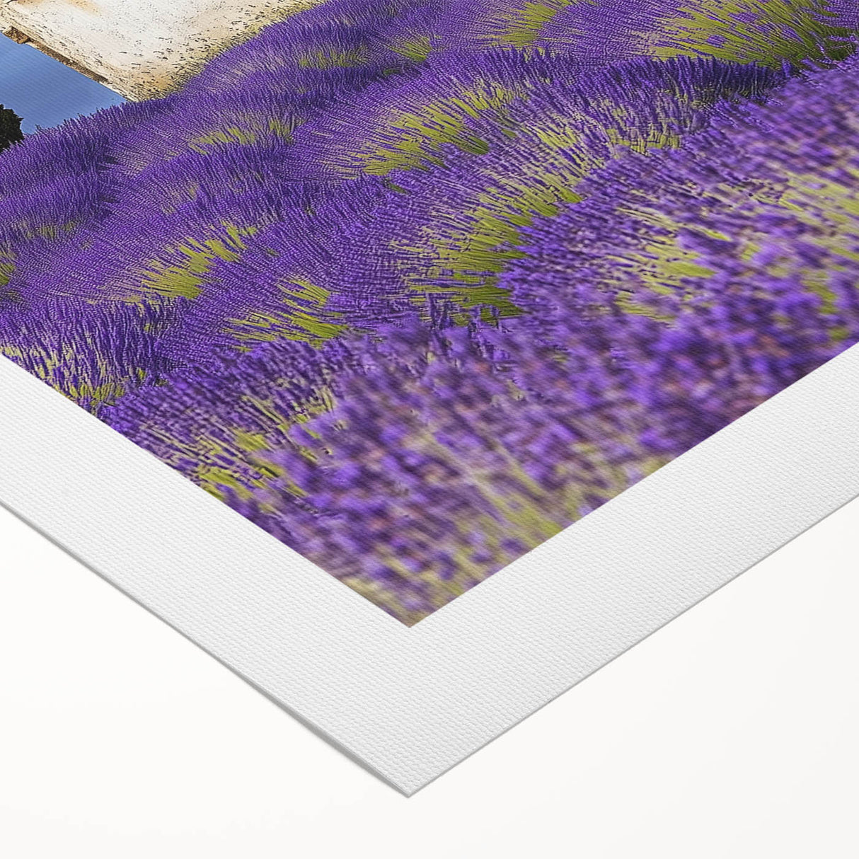 Vibrant rolled canvas depicting serene landscape fields with lush green hills and a clear blue sky, elegantly packaged in a protective cardboard tube for easy transport.