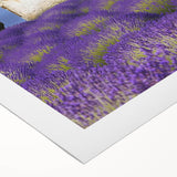 Vibrant rolled canvas depicting serene landscape fields with lush green hills and a clear blue sky, elegantly packaged in a protective cardboard tube for easy transport.