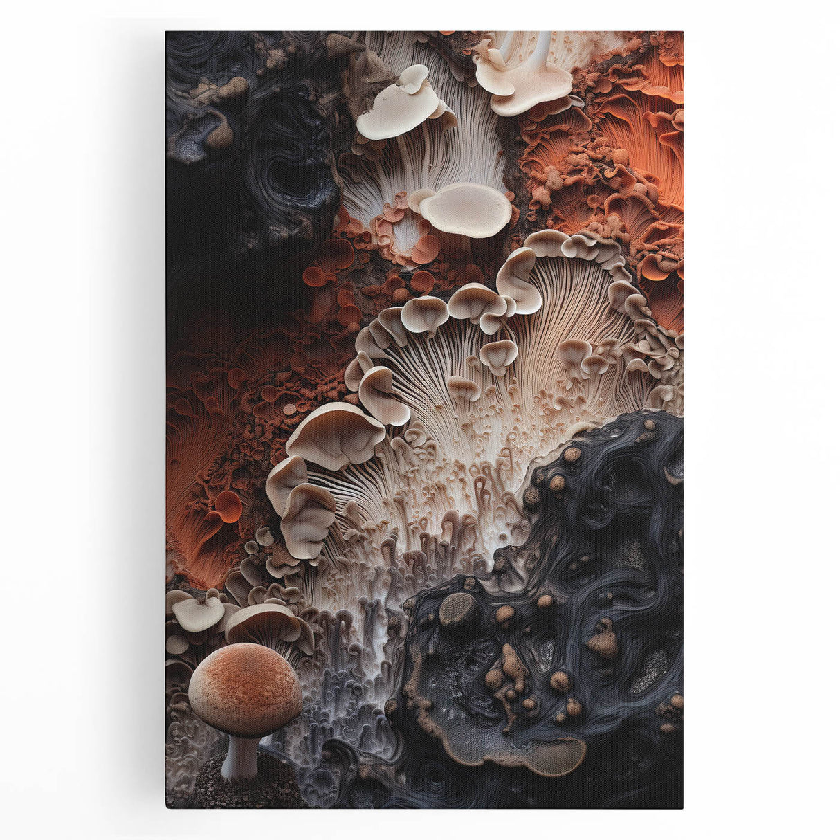 Black and white close-up photo of natural elements on a stretched canvas, ideal for kitchen wall art.