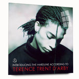 Retro Terence Trent D'Arby Hardline Poster - Vintage Wall Art