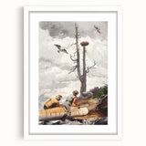 Realism Art Prints - The Eagle’s Nest by Winslow Homer