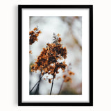 Extra large abstract art print featuring textured layers of autumnal colors on a black framed canvas.