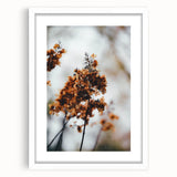 Abstract art print featuring warm autumnal hues on a white framed canvas, ideal for dining room decor.