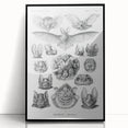 Modern Wall Art: Chiroptera Study - Contemporary Nature Print
