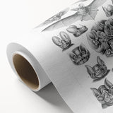 Modern Wall Art: Chiroptera Study - Contemporary Nature Print