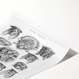 Modern Wall Art: Chiroptera Study - Contemporary Nature Print