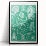 Modern Wall Art: Siphonophorae Study - Abstract Nature Design