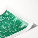 Modern Wall Art: Siphonophorae Study - Abstract Nature Design