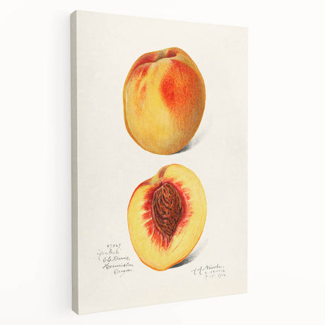 Large canvas print featuring an array of colorful fruits, ideal for kitchen wall art.