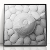 Large abstract wall art featuring a close-up of natural elements in black and white, framed in acrylic.