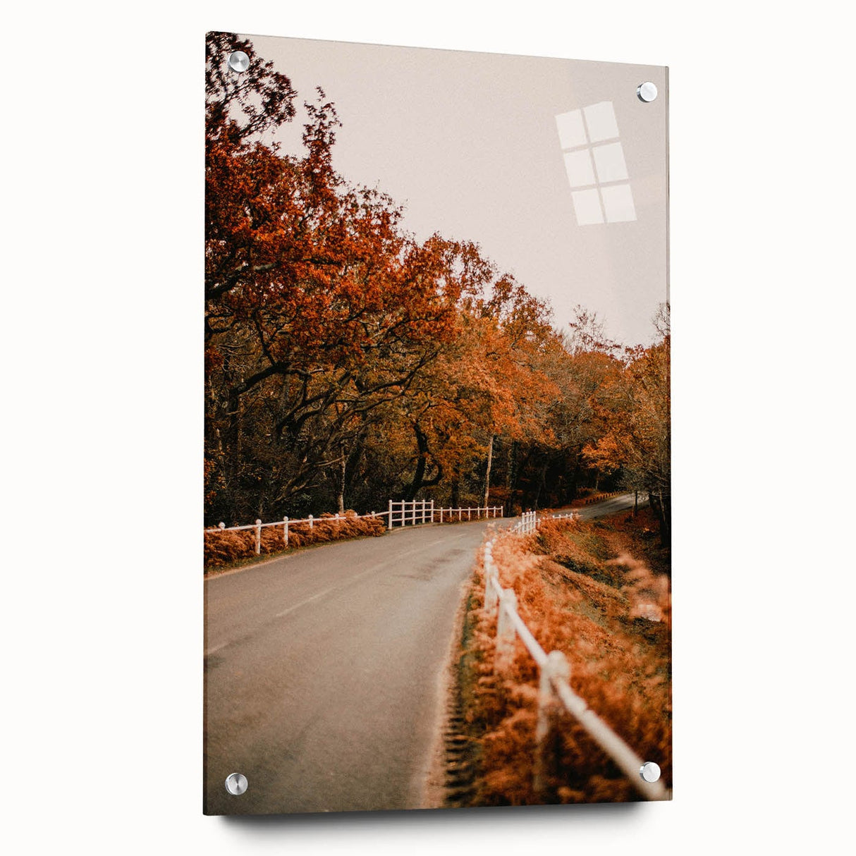 Large abstract wall art depicting fall seasons in muted orange and brown tones, printed on acrylic glass.
