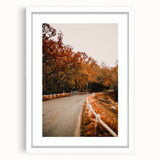 Abstract art print depicting autumnal trees in orange and red tones, framed with a white mat, ideal for dining room decor.