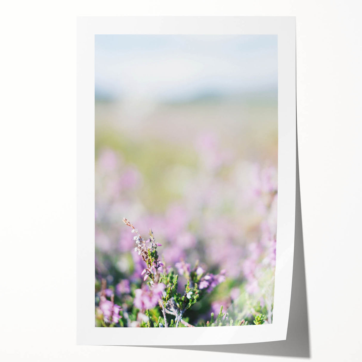 Spring-themed floral art on rolled canvas, featuring soft pastel colors.