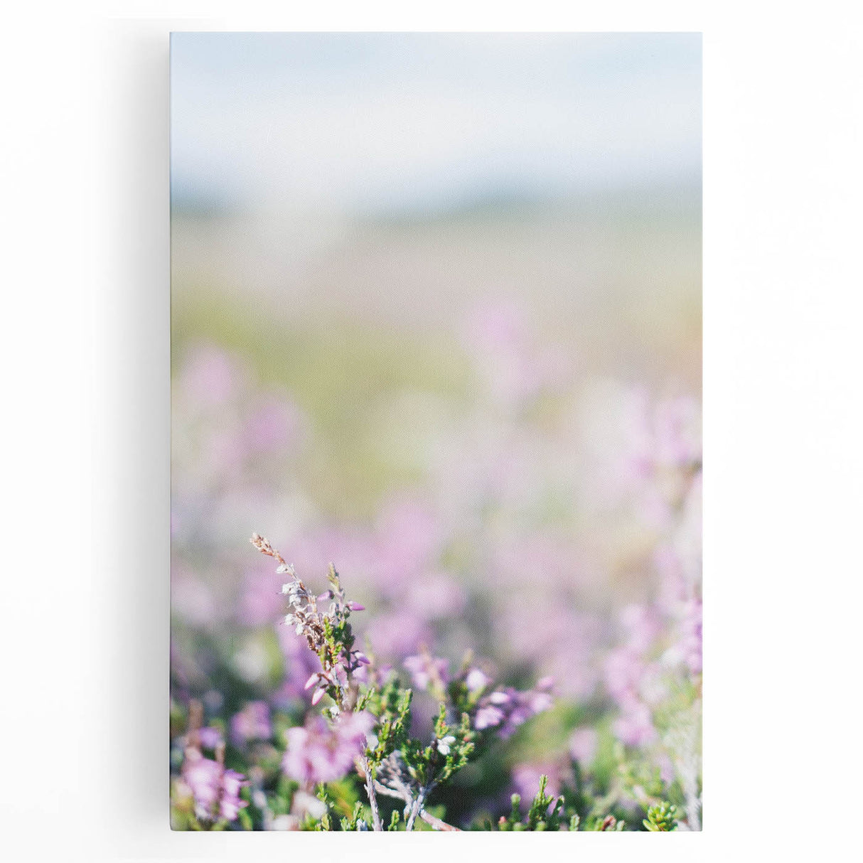 Black and white abstract depiction of spring on large stretched canvas, suitable for kitchen wall art.