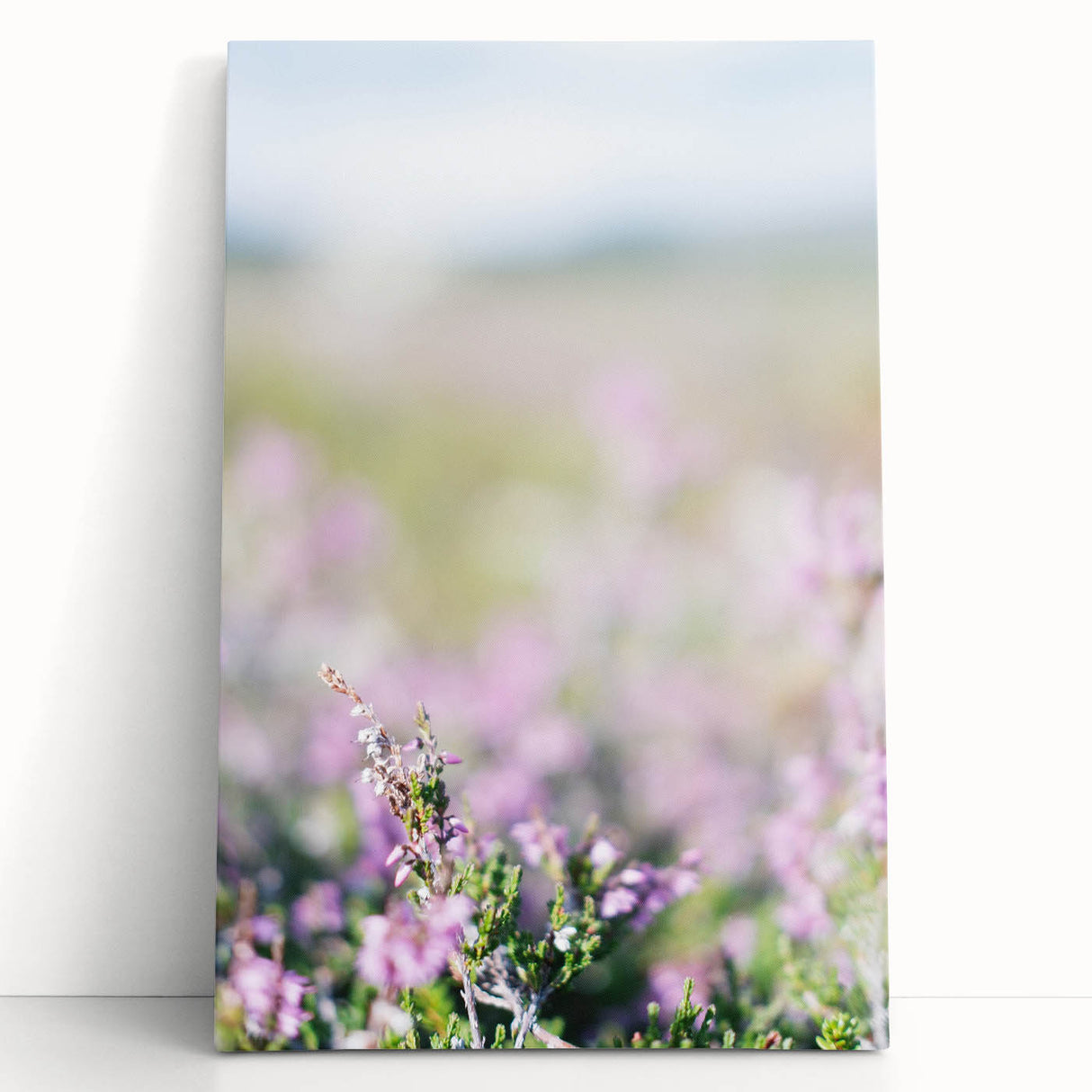 Black and white large art canvas depicting spring season with delicate floral motifs.