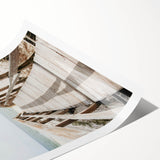 Extra large wall art featuring line art flowers in black on a white canvas, suitable for large living room decor.