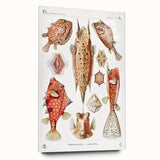 Modern Wall Art: Boxfish Study - Vibrant Marine Life Print