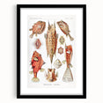 Modern Wall Art: Boxfish Study - Vibrant Marine Life Print