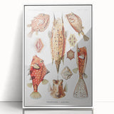 Modern Wall Art: Boxfish Study - Vibrant Marine Life Print