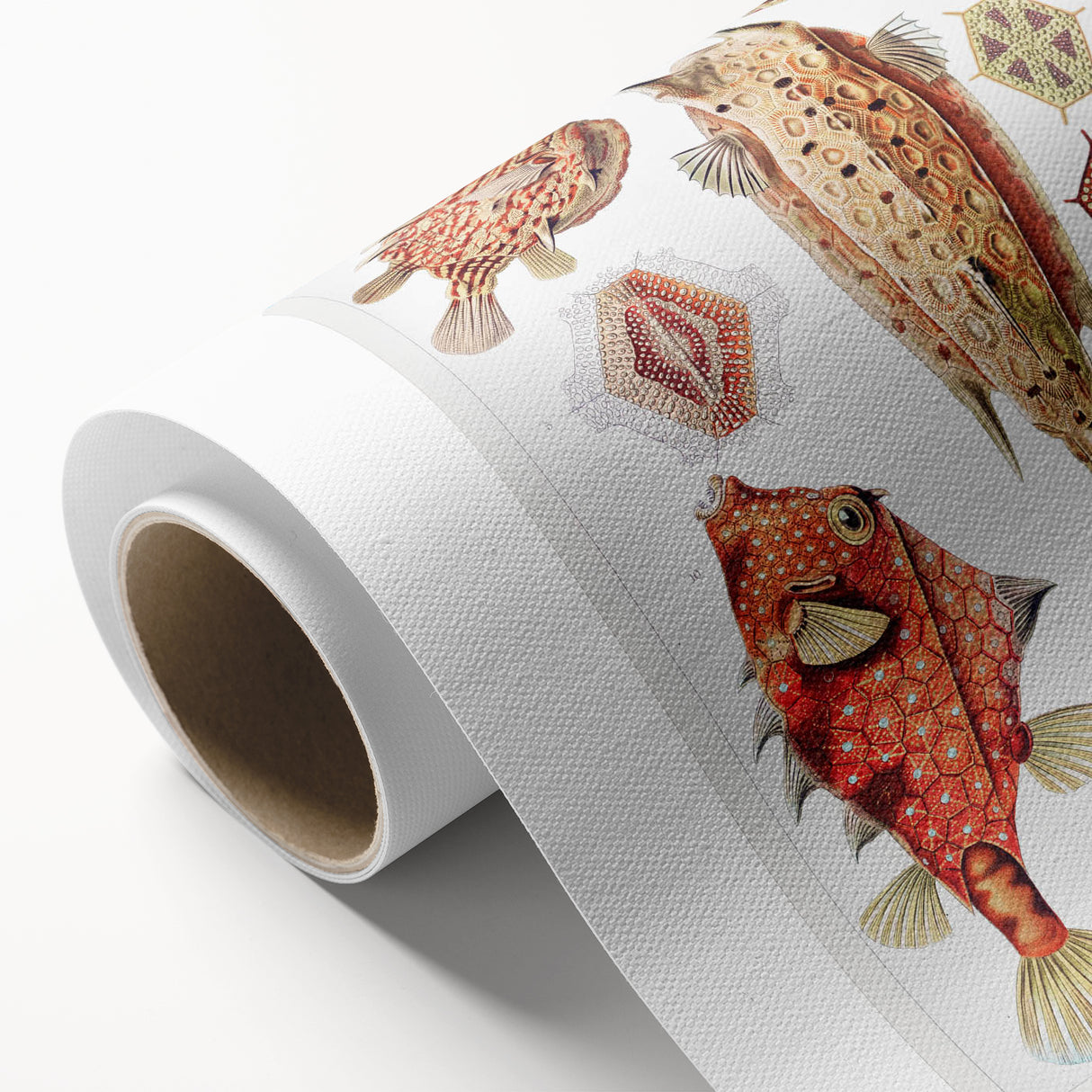 Modern Wall Art: Boxfish Study - Vibrant Marine Life Print