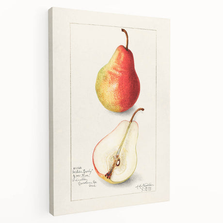 Large stretched canvas featuring an assortment of vibrant fruits, ideal for kitchen wall art.