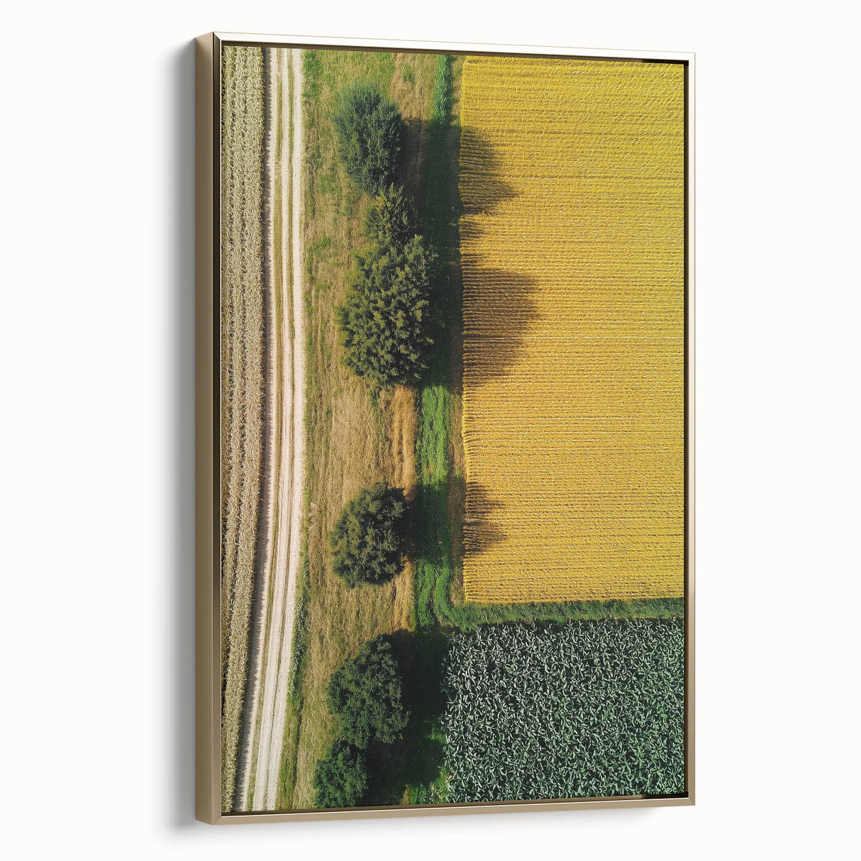 Framed canvas artwork showcasing a serene countryside landscape with vibrant green fields and a golden frame, enhancing any home decor with elegance and charm.