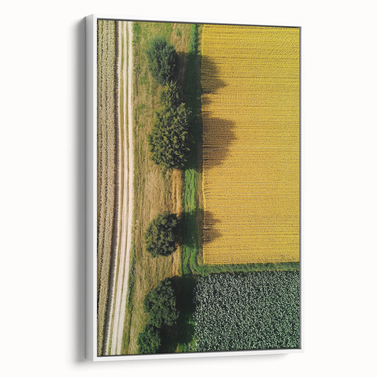Framed canvas artwork showcasing a serene countryside landscape with vibrant green fields and a clear blue sky, displayed in a stylish white frame for an elegant touch.