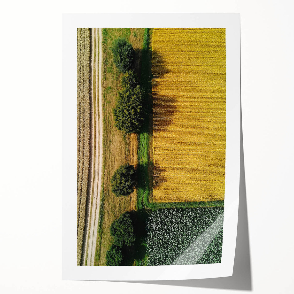 Rolled print of serene countryside landscape featuring rolling hills and vibrant greenery, elegantly packaged in a protective cardboard tube for easy display.