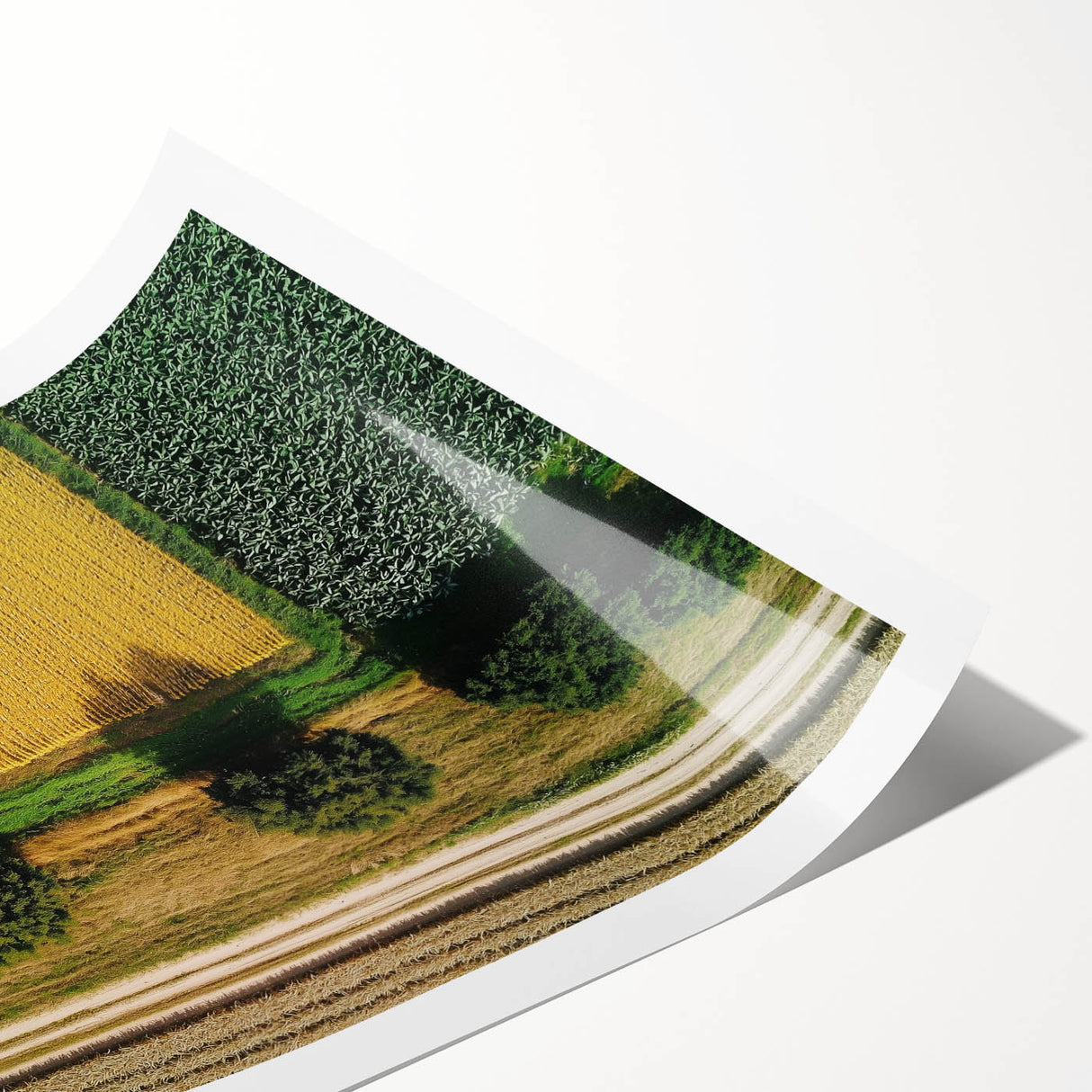 Rolled landscape print showcasing a serene countryside scene with vibrant green fields and a clear blue sky, elegantly packaged in a protective cardboard tube for shipping.