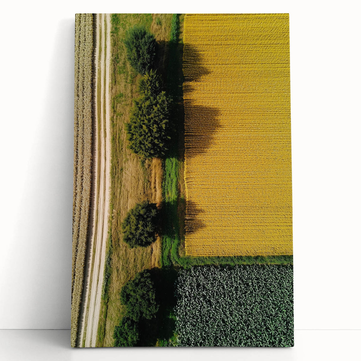 Stretched canvas art depicting a serene countryside landscape, showcasing vibrant green fields, a clear blue sky, and distant hills. Ideal for home decor.