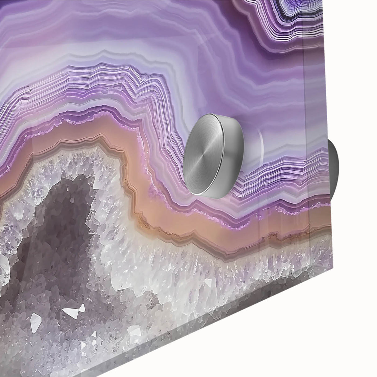 Large abstract wall art featuring close-up natural elements in muted green and brown tones on acrylic glass.