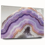 Large abstract wall art featuring close-ups of natural elements in muted earth tones on acrylic glass.