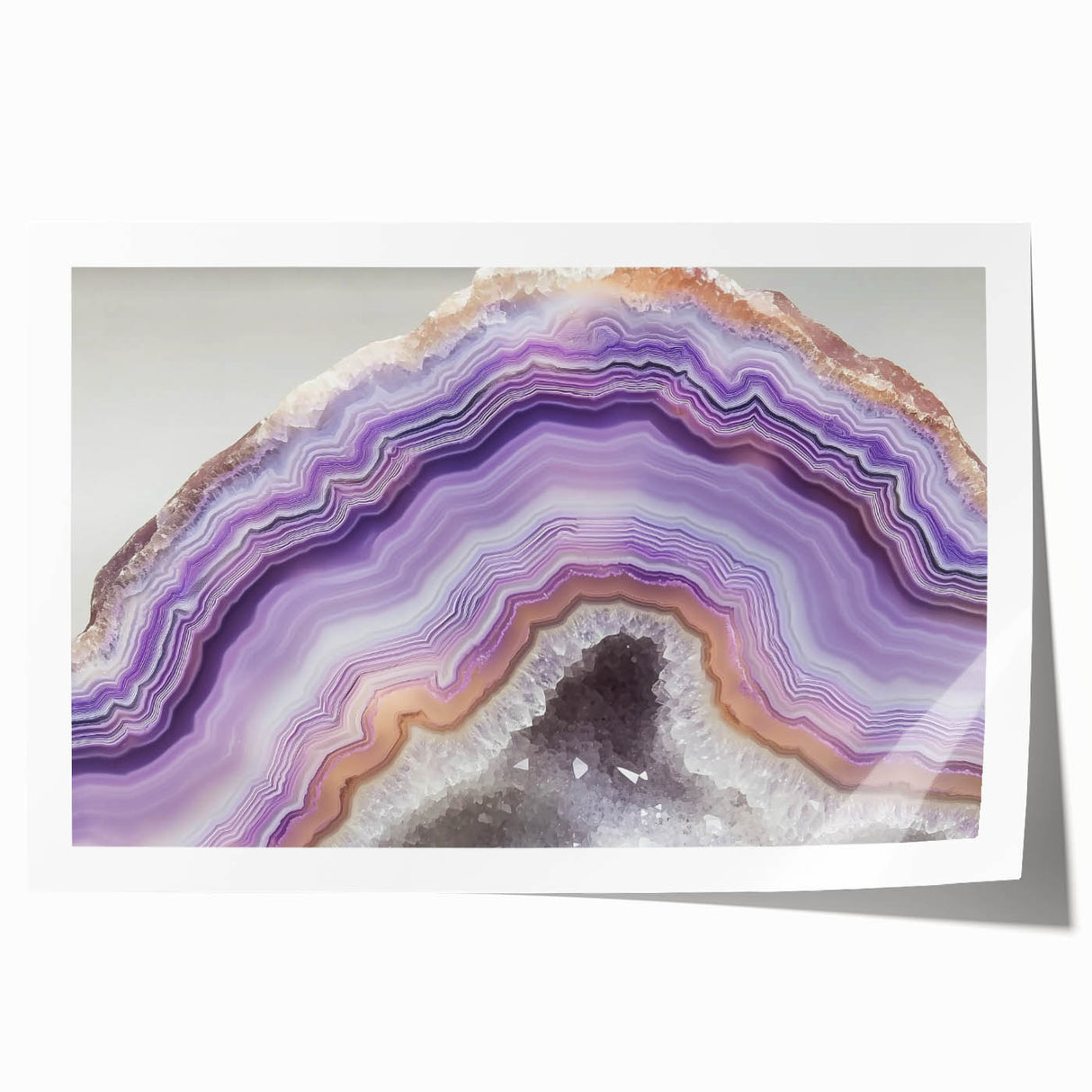 Close-up floral image in soft pastel hues on a rolled print, ideal for art wall dining room or classy bathroom decor.