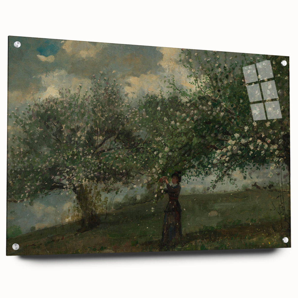 Girl Picking Apple Blossoms Realism Art Print - Classical Realism Canvas