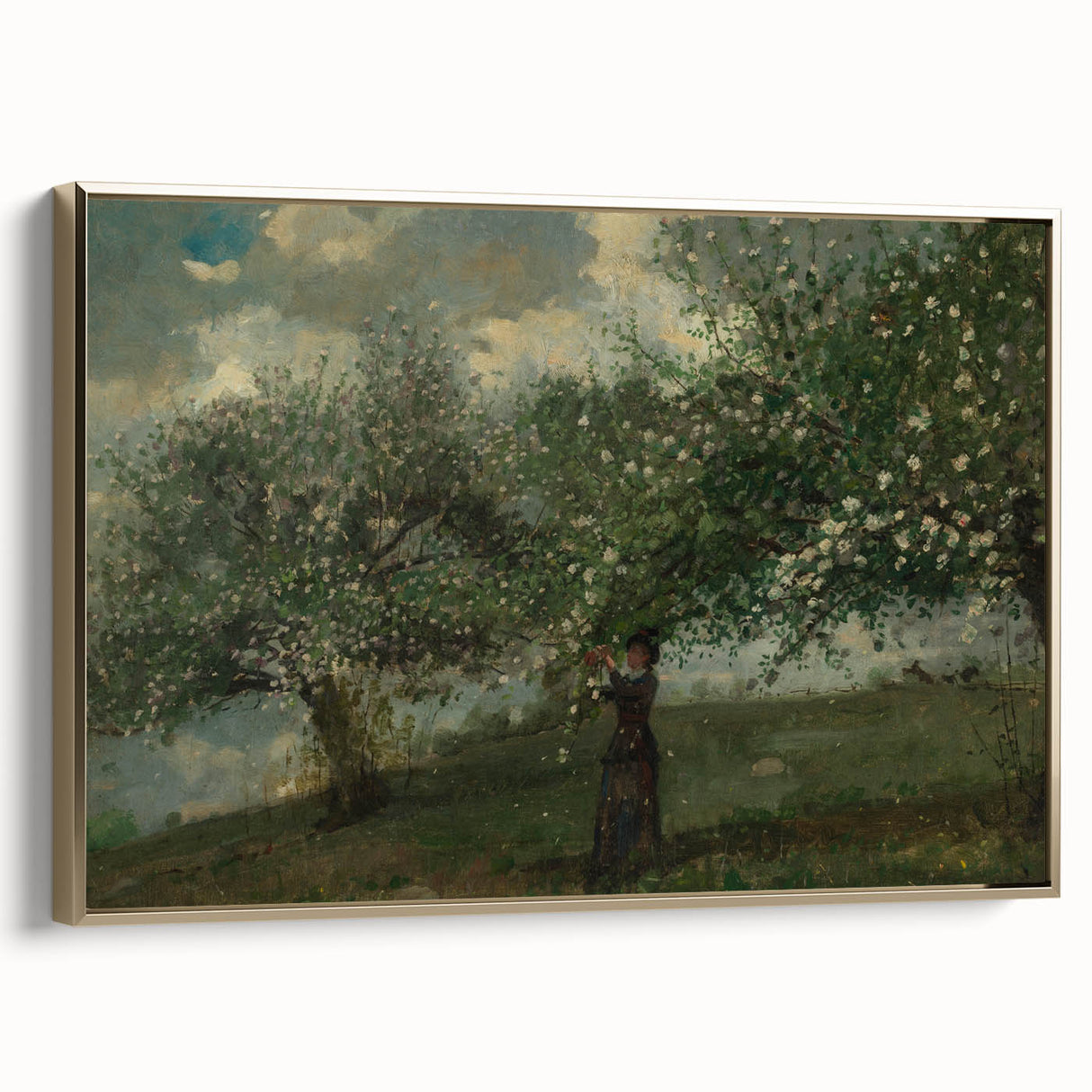 Girl Picking Apple Blossoms Realism Art Print - Classical Realism Canvas