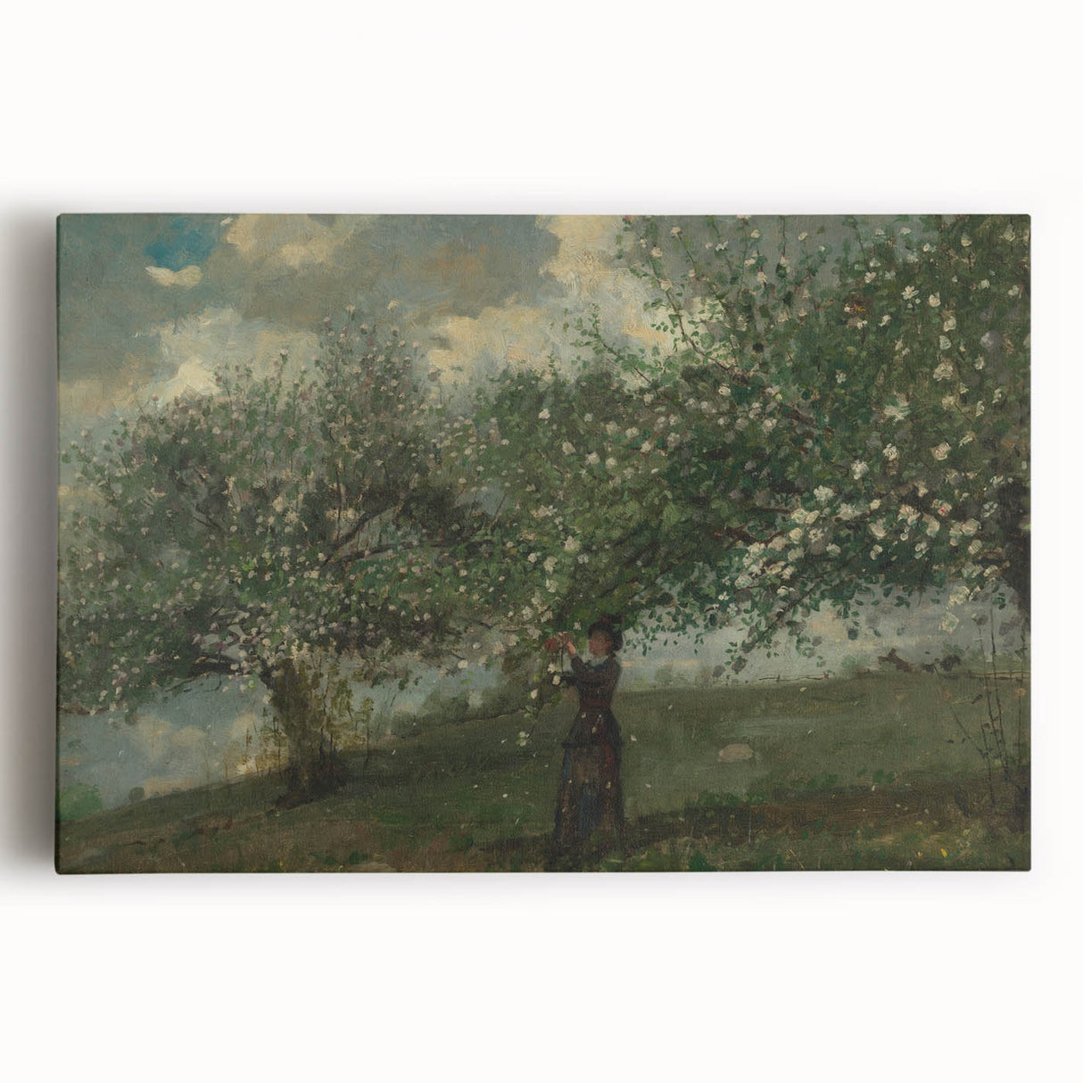 Girl Picking Apple Blossoms Realism Art Print - Classical Realism Canvas