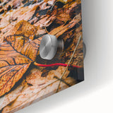 Large abstract wall art depicting vibrant autumn hues on acrylic glass, ideal as mid-century modernist dining room art.