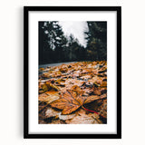 Extra large abstract art print with textured, colorful art depicting fall, framed in black, ideal for living room decor.