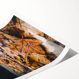 Extra large wall art featuring line art flowers in muted autumn hues on a rolled canvas, ideal for large living room decor.