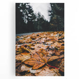 Large black and white photo of a tree in autumn on stretched canvas, ideal for kitchen wall art.