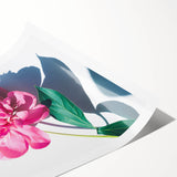 Extra large wall art featuring line art flowers in muted pastel shades on a rolled print.