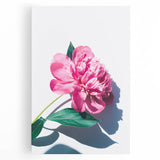 Black and white abstract depiction of spring on large stretched canvas, ideal for kitchen wall art.