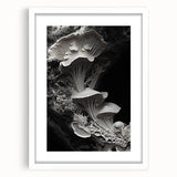 Abstract art print featuring close-up natural elements in soft gray and white tones on a framed canvas.