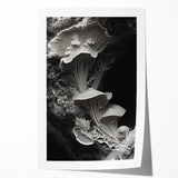 Extra large rolled print of close-up floral elements in natural tones, ideal for dining room wall art.