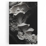 Black and white close-up photo of natural elements on large stretched canvas, suitable for kitchen art.