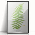 Athyrium Filix–Femina Lady Fern Print - Detailed Realism Botanical Art