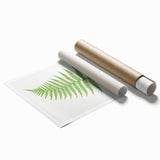 Athyrium Filix–Femina Lady Fern Print - Detailed Realism Botanical Art